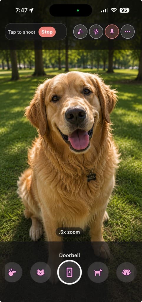 PawShot camera armed to shoot, a golden retriever looking straight at the lens with the doorbell sound selected